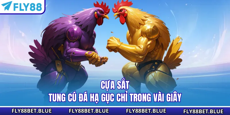 Cựa sắt tung cú đá hạ gục chỉ trong vài giây